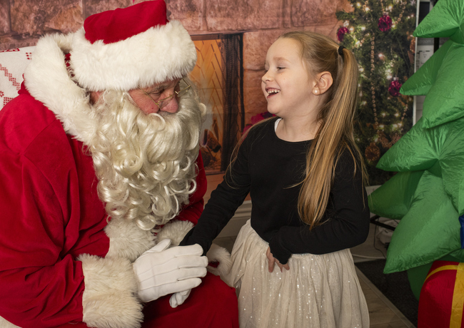 067 Springfield Dundee Xmas AR