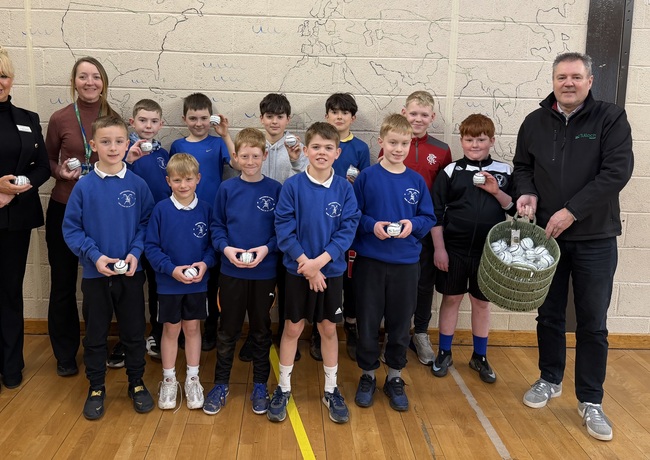 Shinty ball